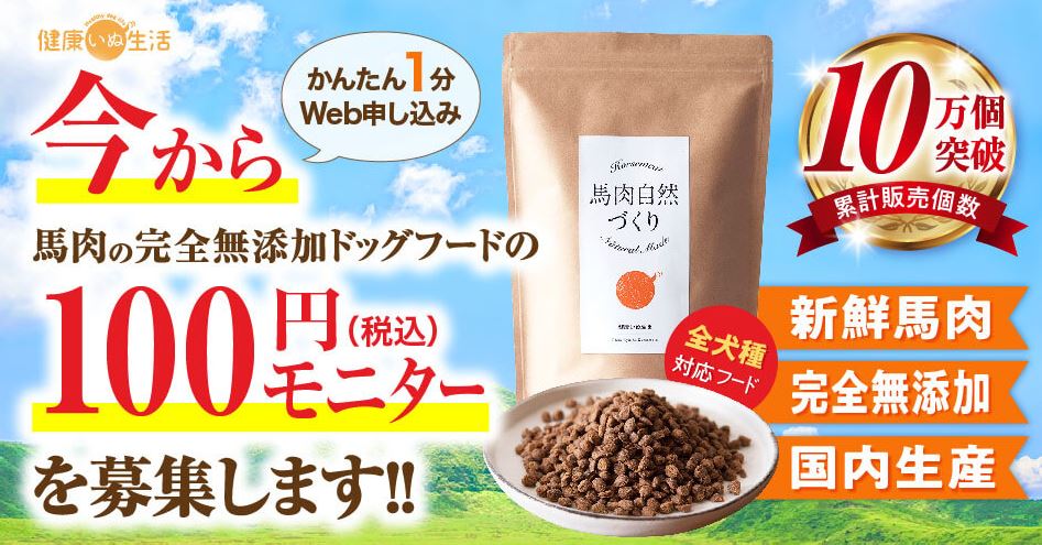 �����t�[�Y�n�����R�Â���,�ʔ�